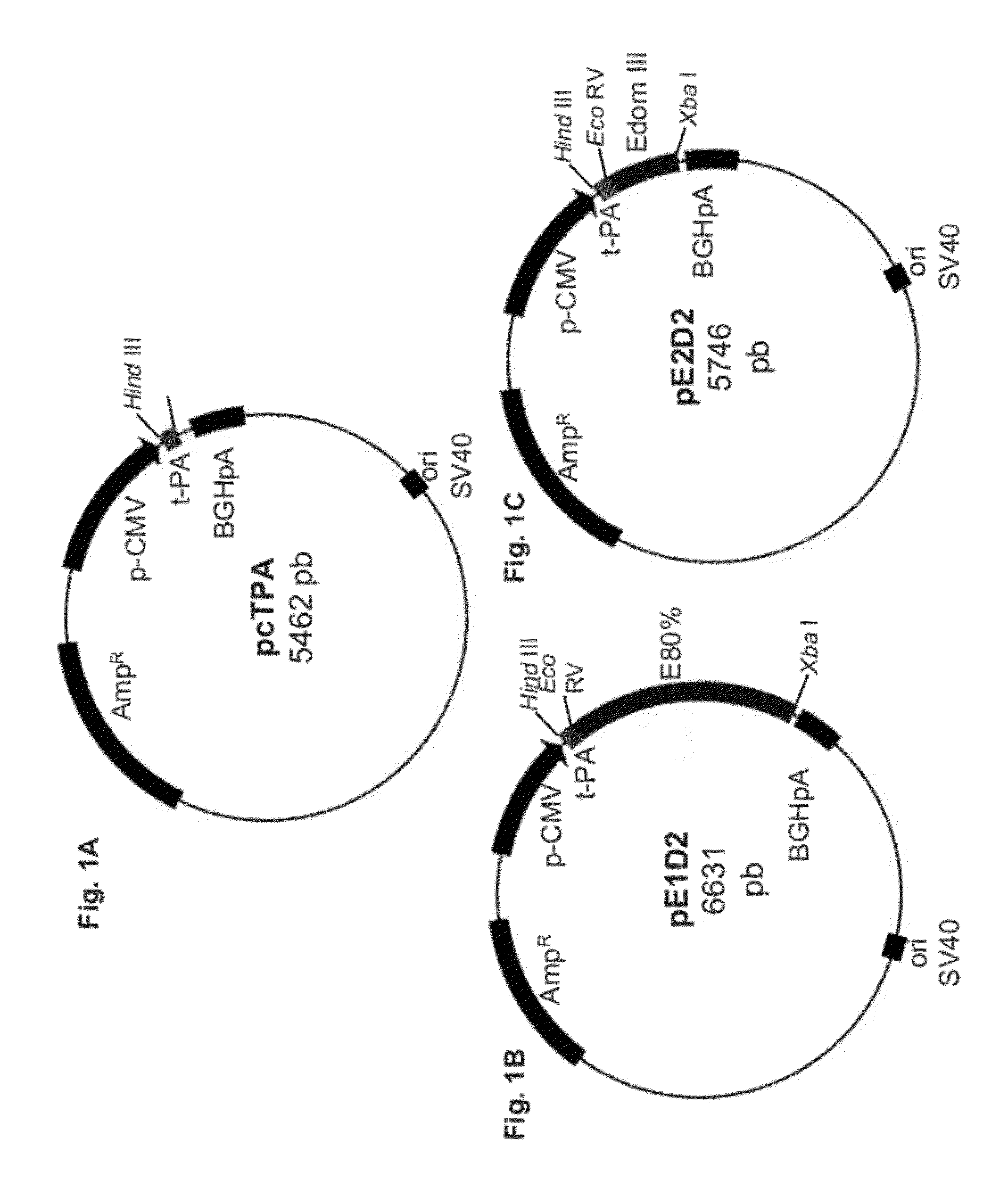 Method, kit, plasmid and composition for inducing an immune response to dengue virus, on the basis of DNA and chimeric virus vaccines