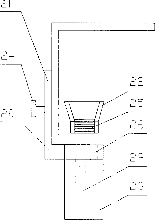 Method and apparatus for colour-implantation of human skin