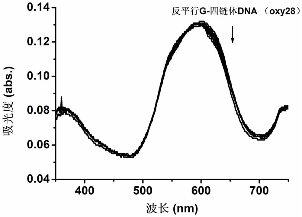 A kind of preparation method of specific detection parallel configuration g-quadruplex dna probe