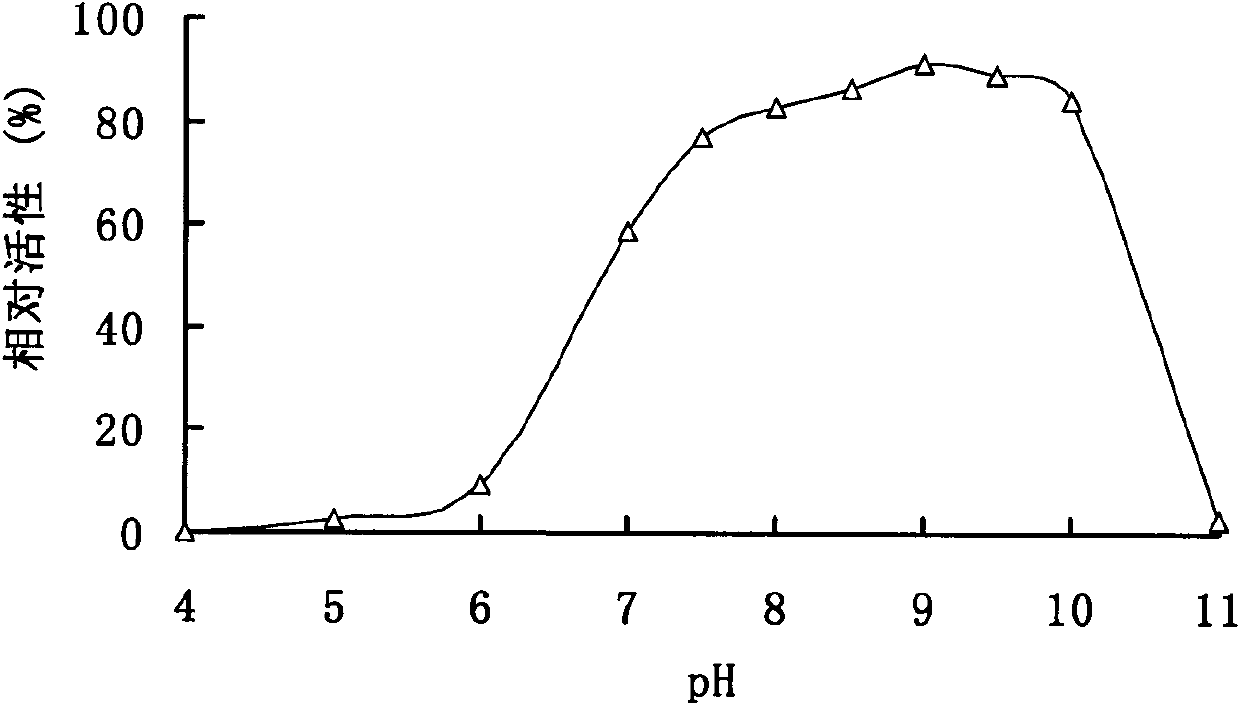 Alkaline pectinase poly lactic acid (PLA) and gene and application thereof