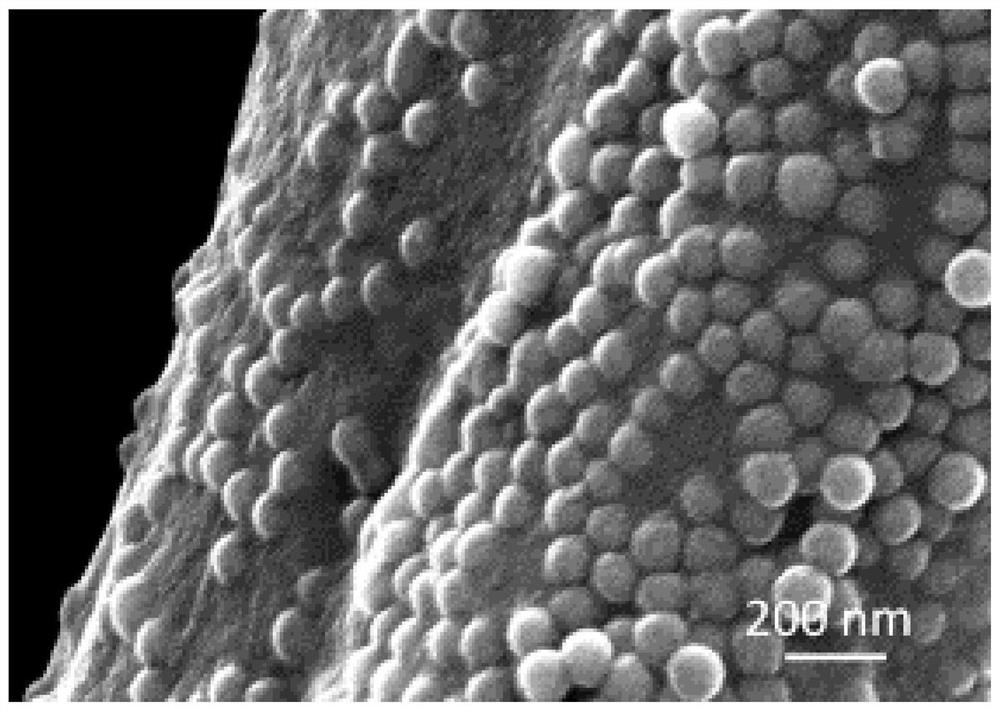 A kind of preparation method of anti-counterfeiting label with micro-nano structure