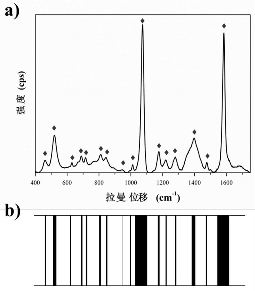 A kind of preparation method of anti-counterfeiting label with micro-nano structure