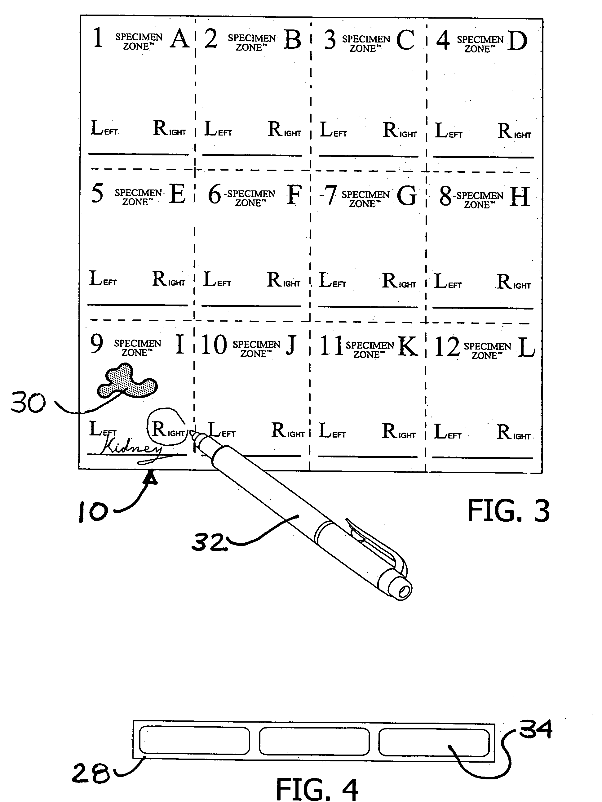 Specimen labeling system