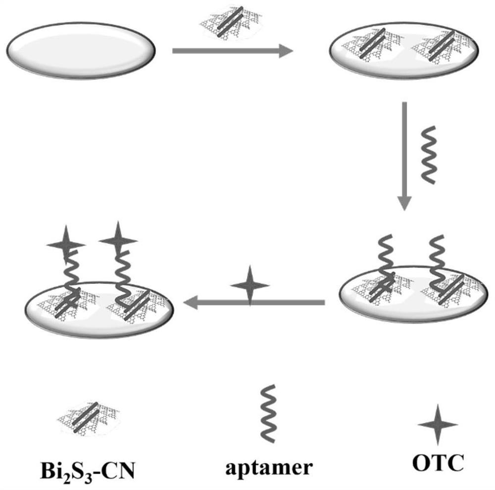 Preparation method and application of photoelectrochemical biosensor for detecting oxytetracycline