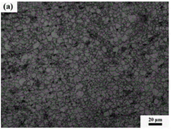 Heat-resistant wrought magnesium alloy containing calcium and neodymium and preparation method thereof