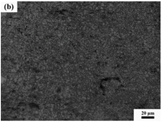 Heat-resistant wrought magnesium alloy containing calcium and neodymium and preparation method thereof