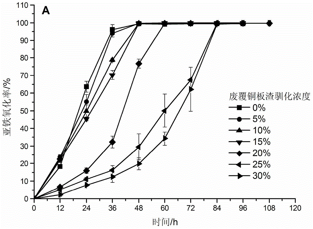 Complex acidophilic microbial agent as well as preparation method and application thereof in treating waste copper-clad plate flotation residue