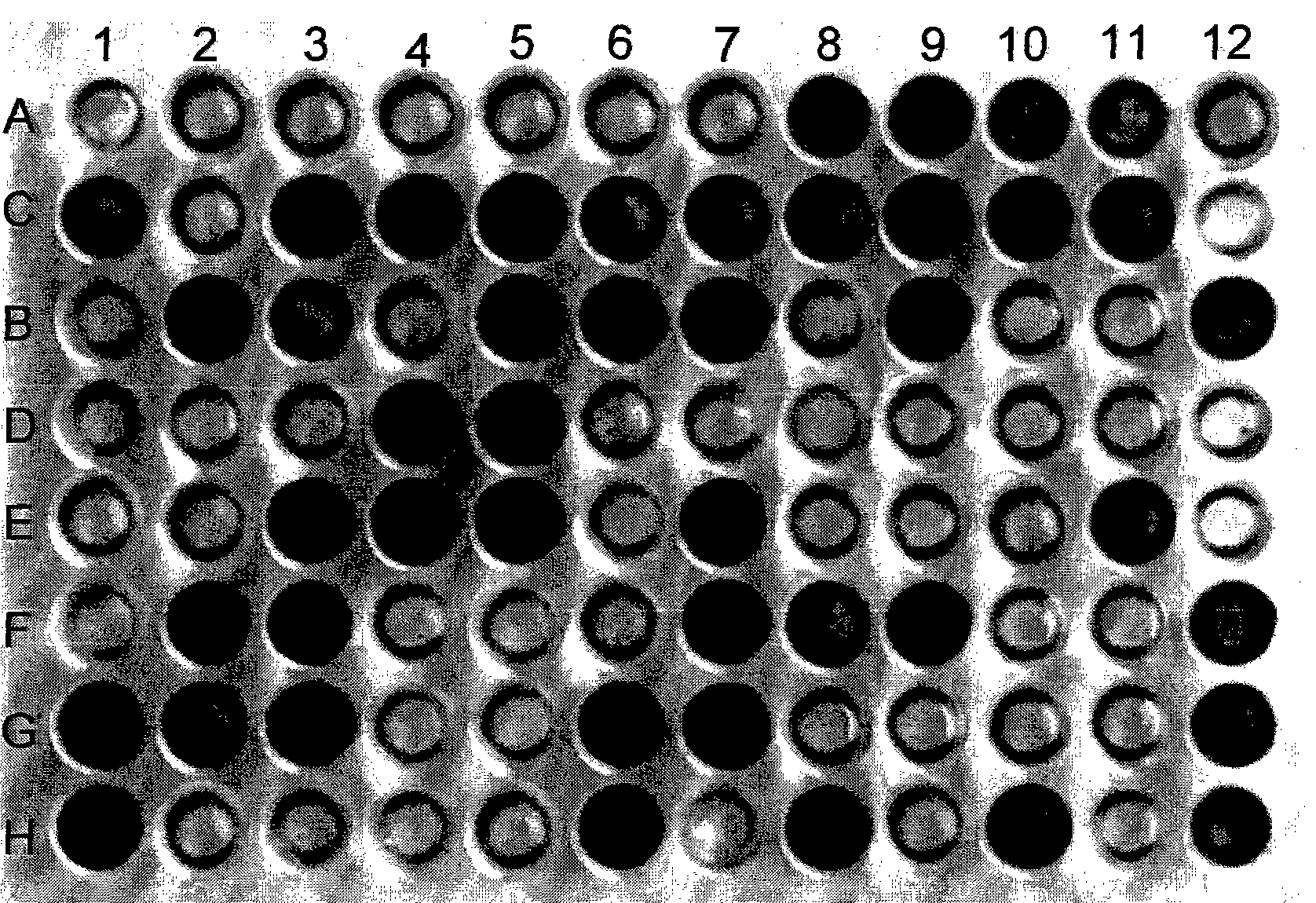 Bacterium identification reagent kit as well as preparation method and uses thereof