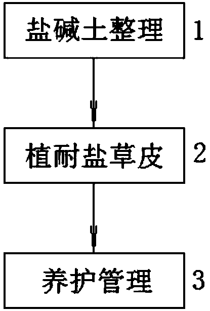 Method for improving fertility of coastal saline-alkali soil in East China by utilizing seashore paspalum