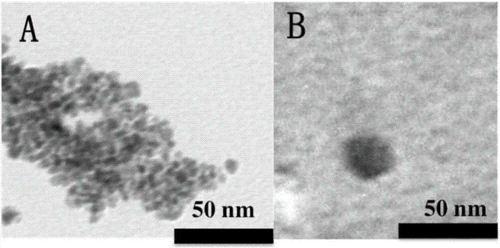 Magnetic hyperbranched polymer or magnetic hyperbranched polymer derivative blood heavy metal ion adsorbent and preparation method and application thereof