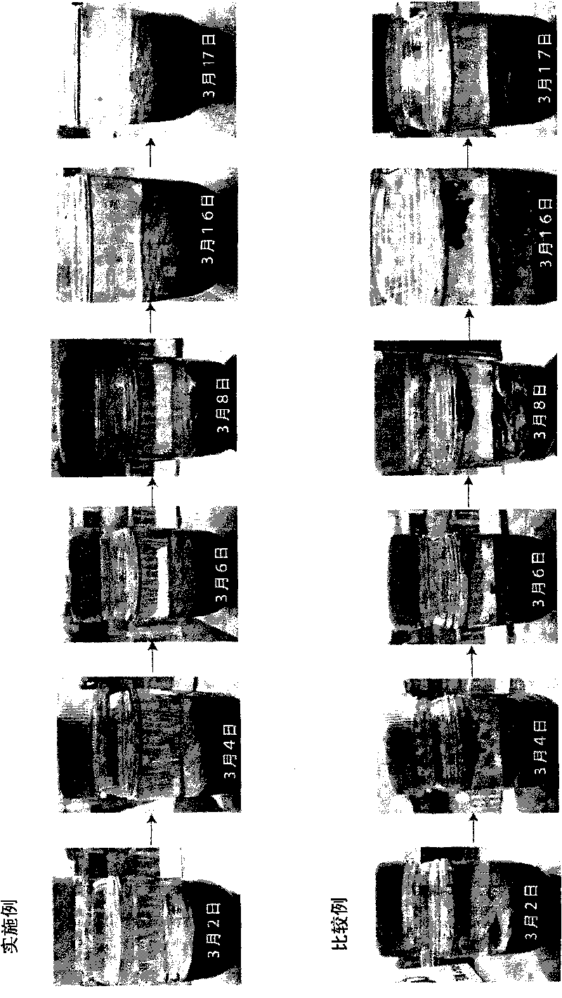 Reagent for preventing or reducing scum generation