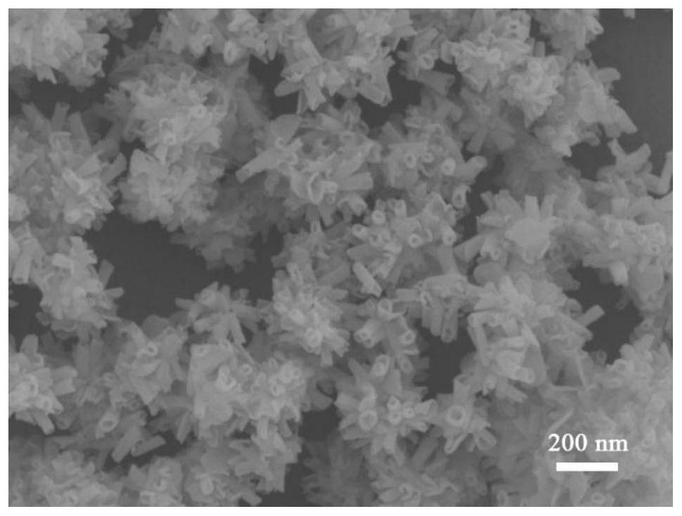 A method for preparing holmium oxide nanomaterials with different shapes