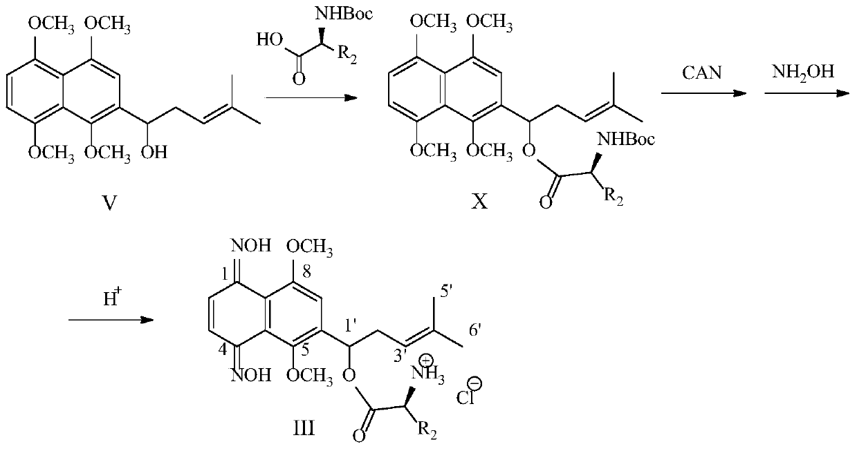 Racemate alkannin oxime amino acid ester derivatives and preparation method and applications thereof