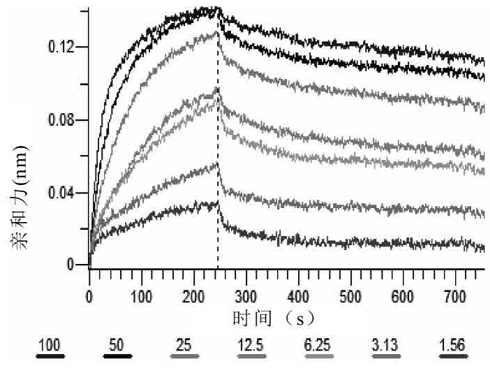 anti-cd3 humanized antibody