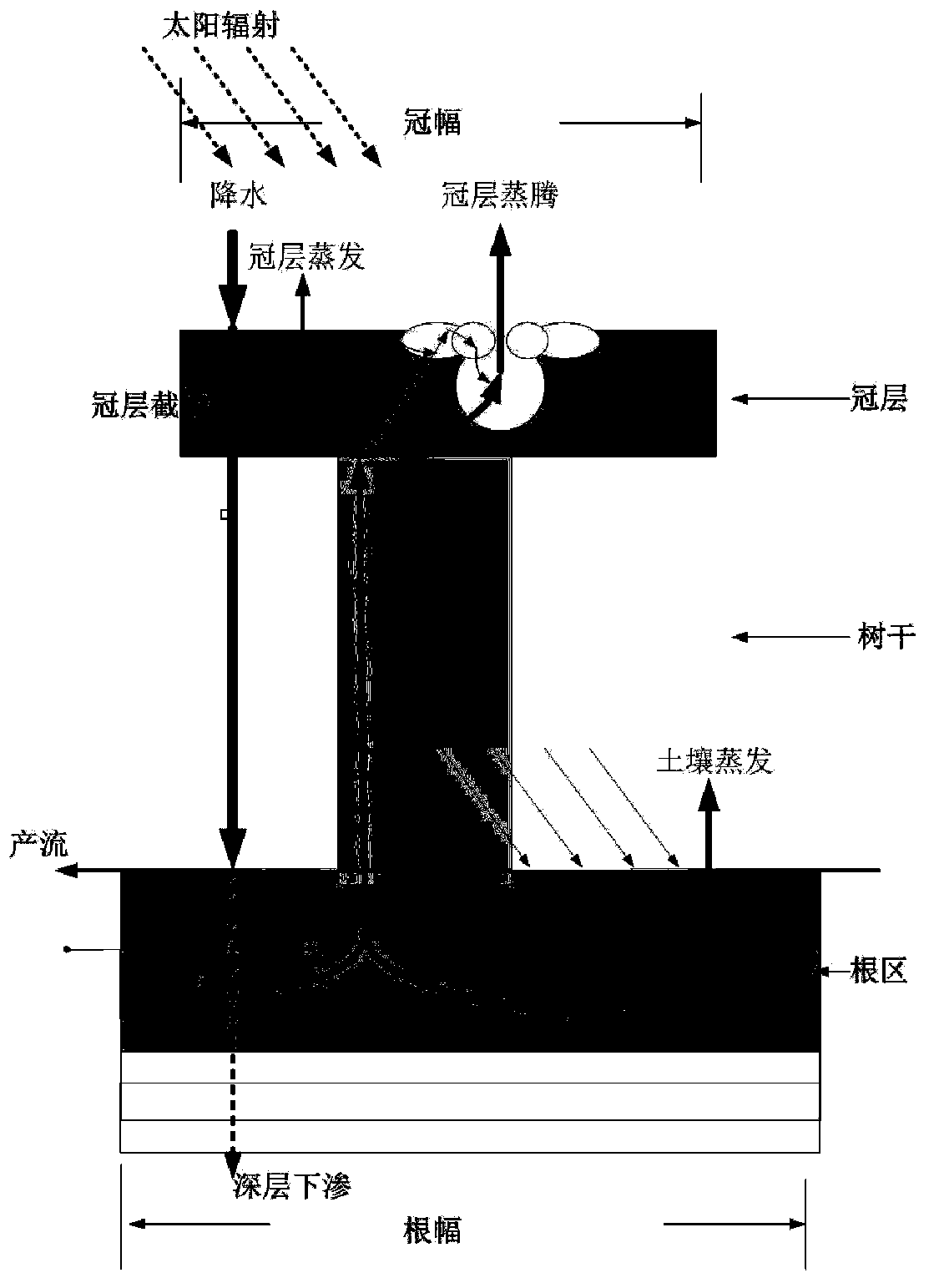 Method and device for analyzing water transportation of plants and soil of urban green lands