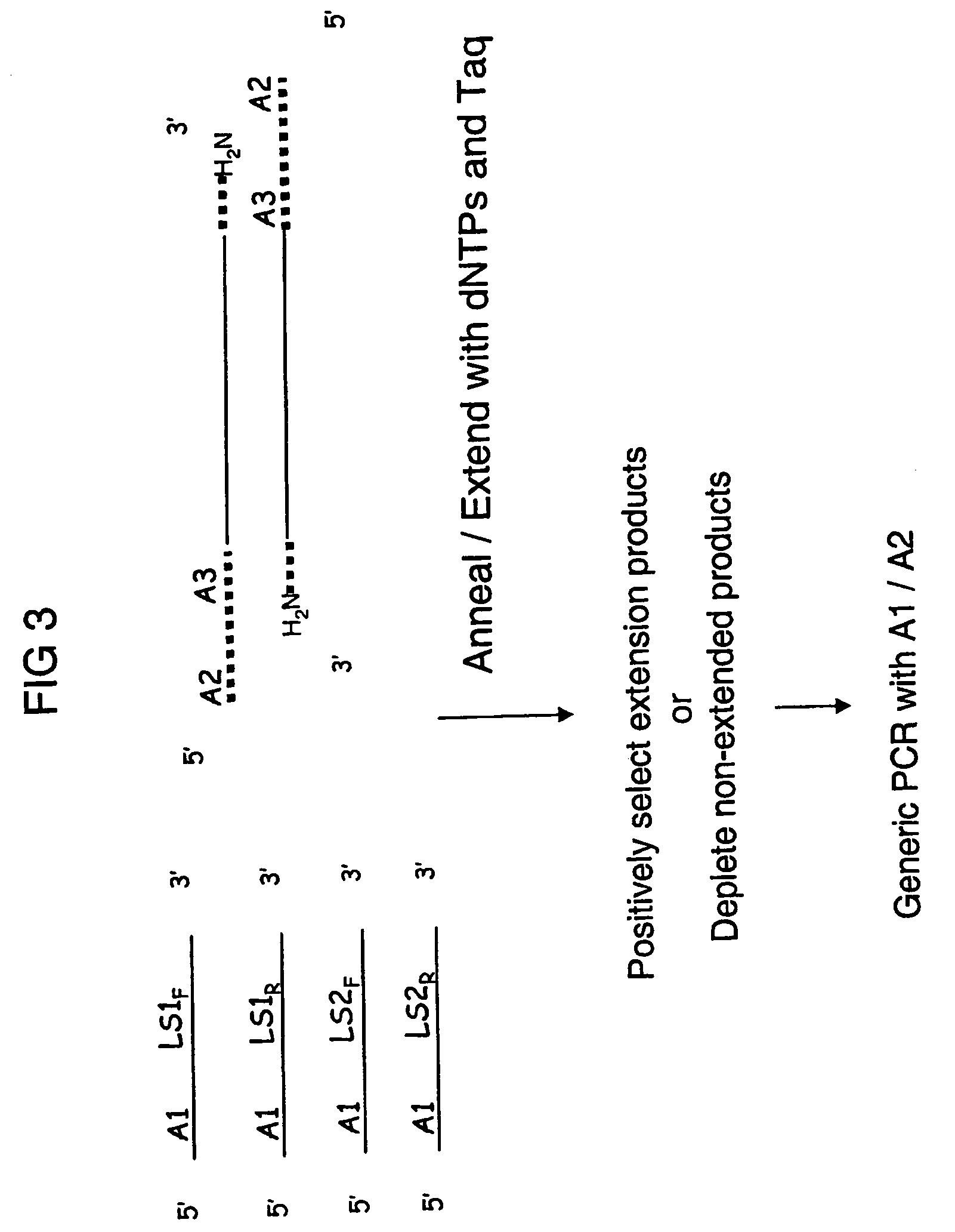 Methods for genotyping selected polymorphism