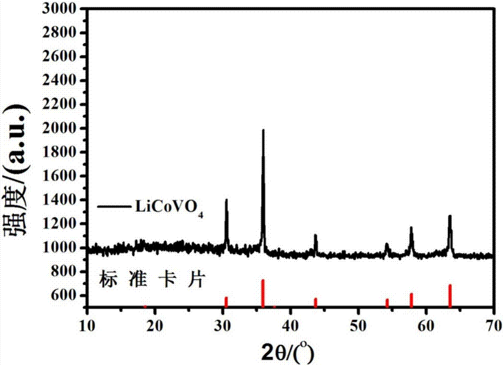 LiCoVO4 as well as preparation method and application thereof