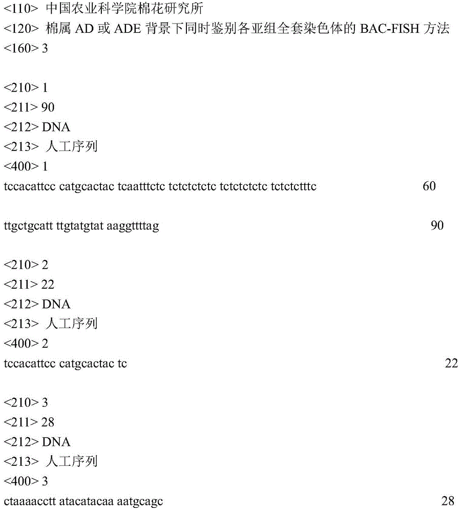 A bac-fish method for simultaneous identification of complete sets of chromosomes in each subgroup in the background of ad or ade in cotton