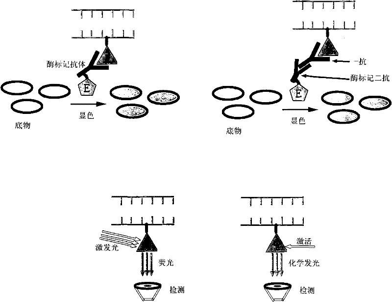 Method for quickly and quantitatively detecting mammalian cell deoxyribose nucleic acid (DNA)