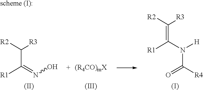 Process for the synthesis of eneamide derivatives