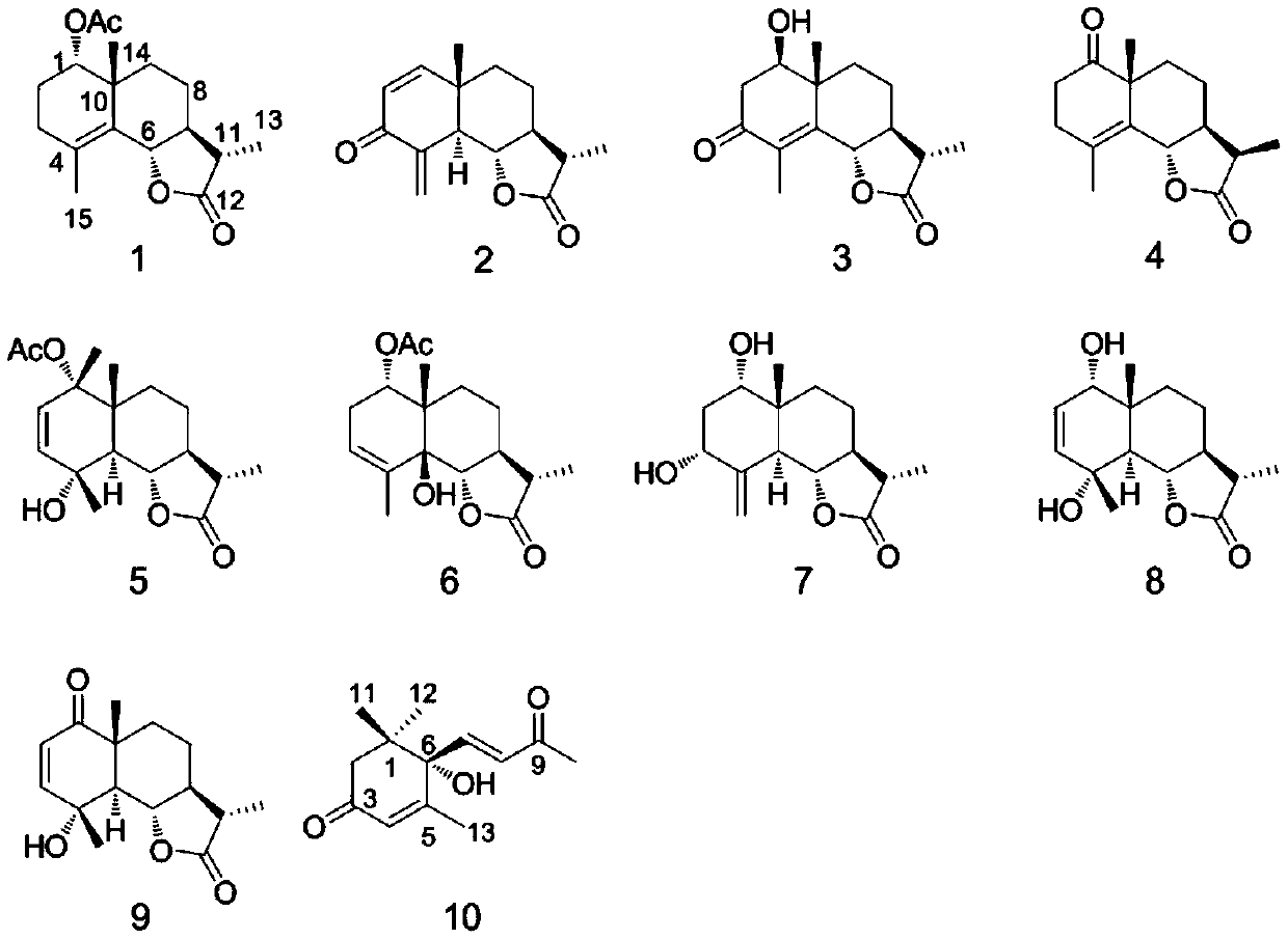 Method for extracting and separating sesquiterpene lactone compounds from artemisia sacrorum ledeb