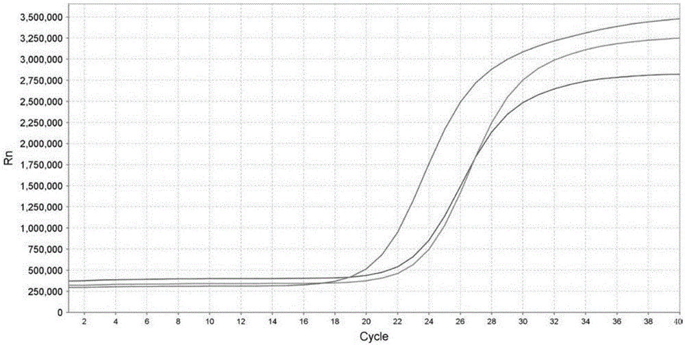 Fluorescent quantitative PCR method for detecting fish parvalbumin and primer pair