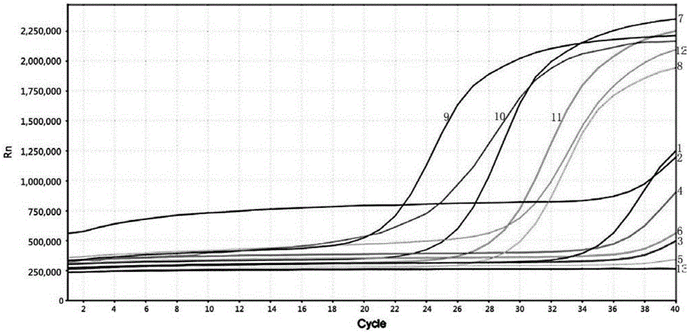 Fluorescent quantitative PCR method for detecting fish parvalbumin and primer pair