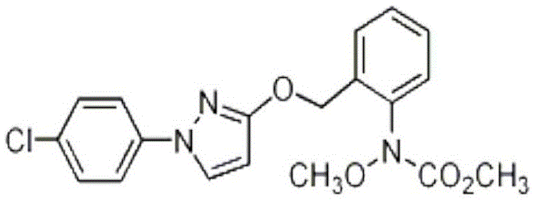 A kind of fungicide containing pyraclostrobin and its application