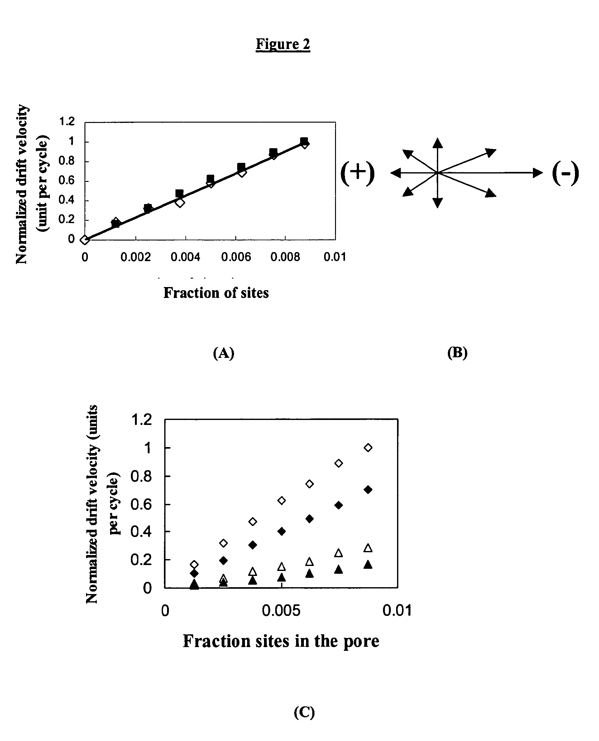 Carbon-Polymer Electrochemical Systems and Methods of Fabricating Them Using Layer-by-Layer Technology