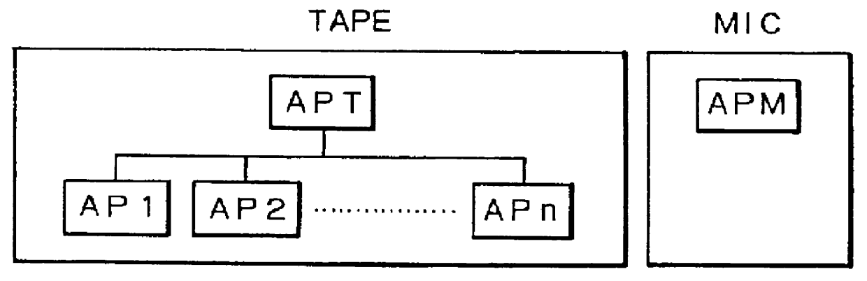 Digital audio signal transmission apparatus with data blocks of varying sizes