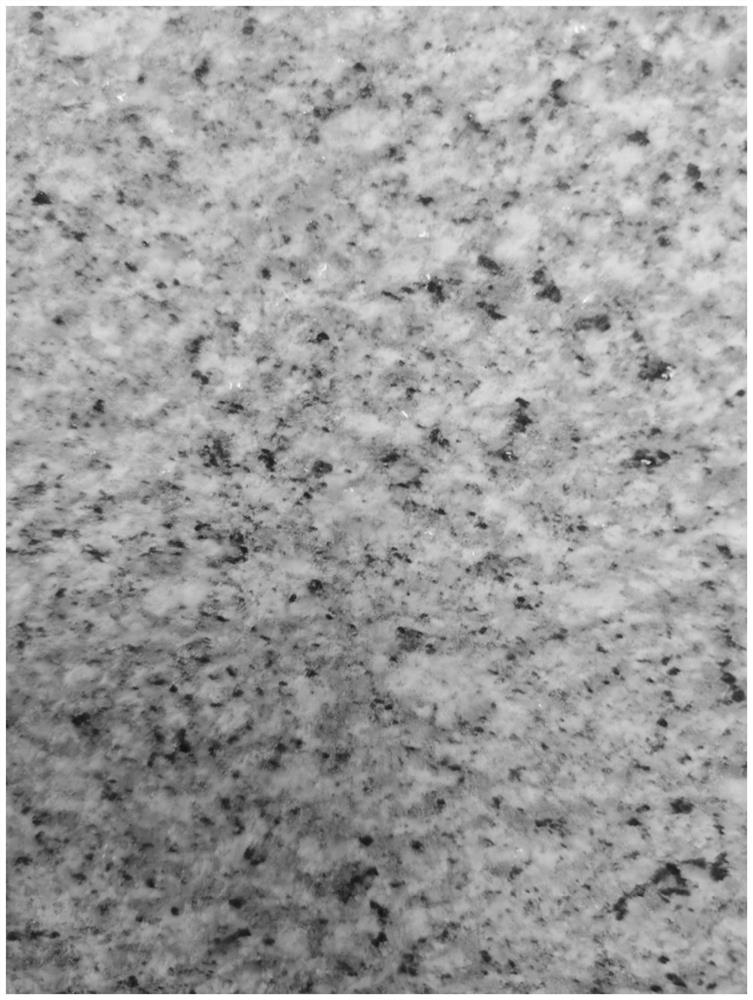 A dry stone granule and rock slab with simulation effect and its preparation method and application