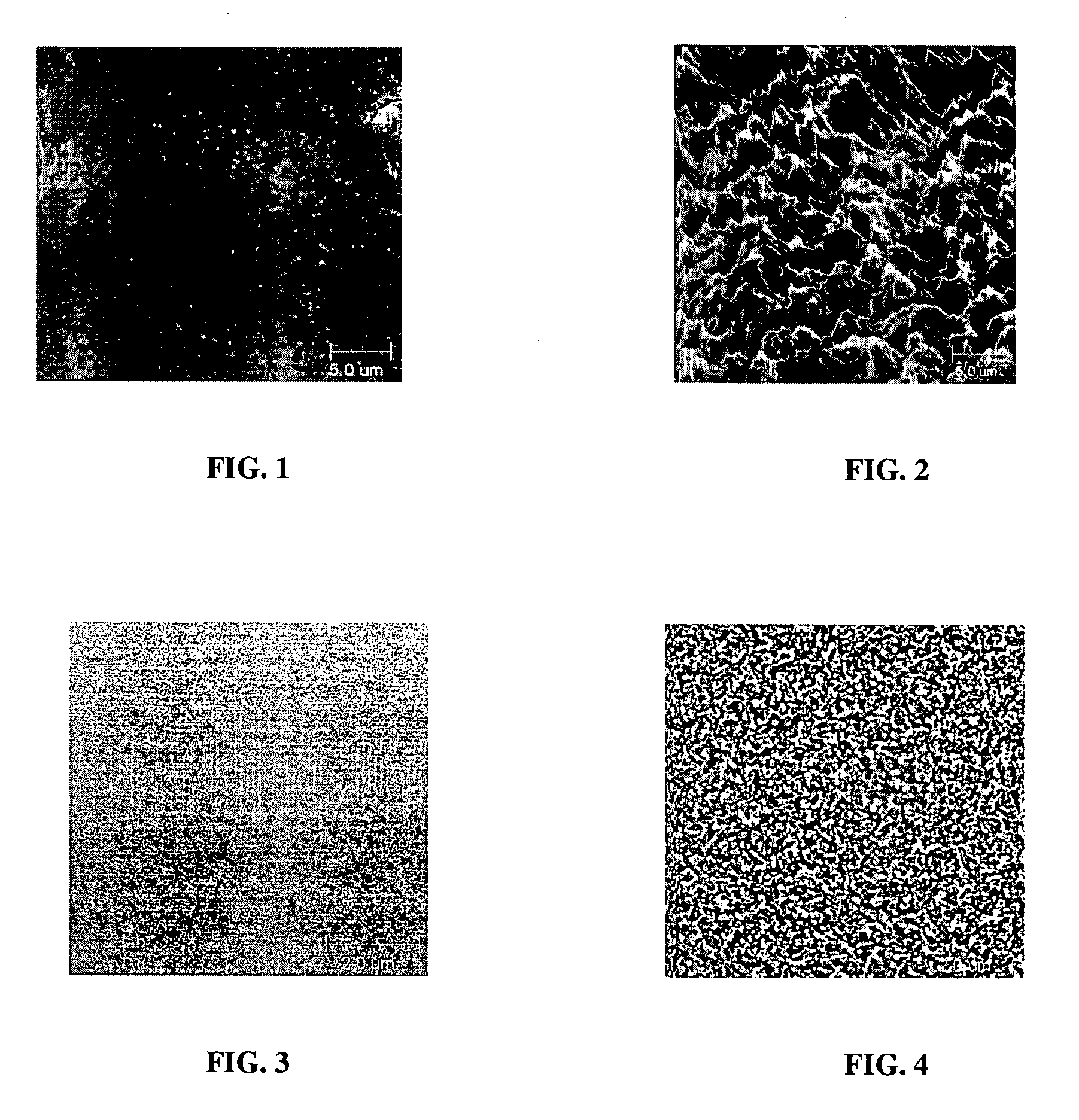 Insulator coating and method for forming same