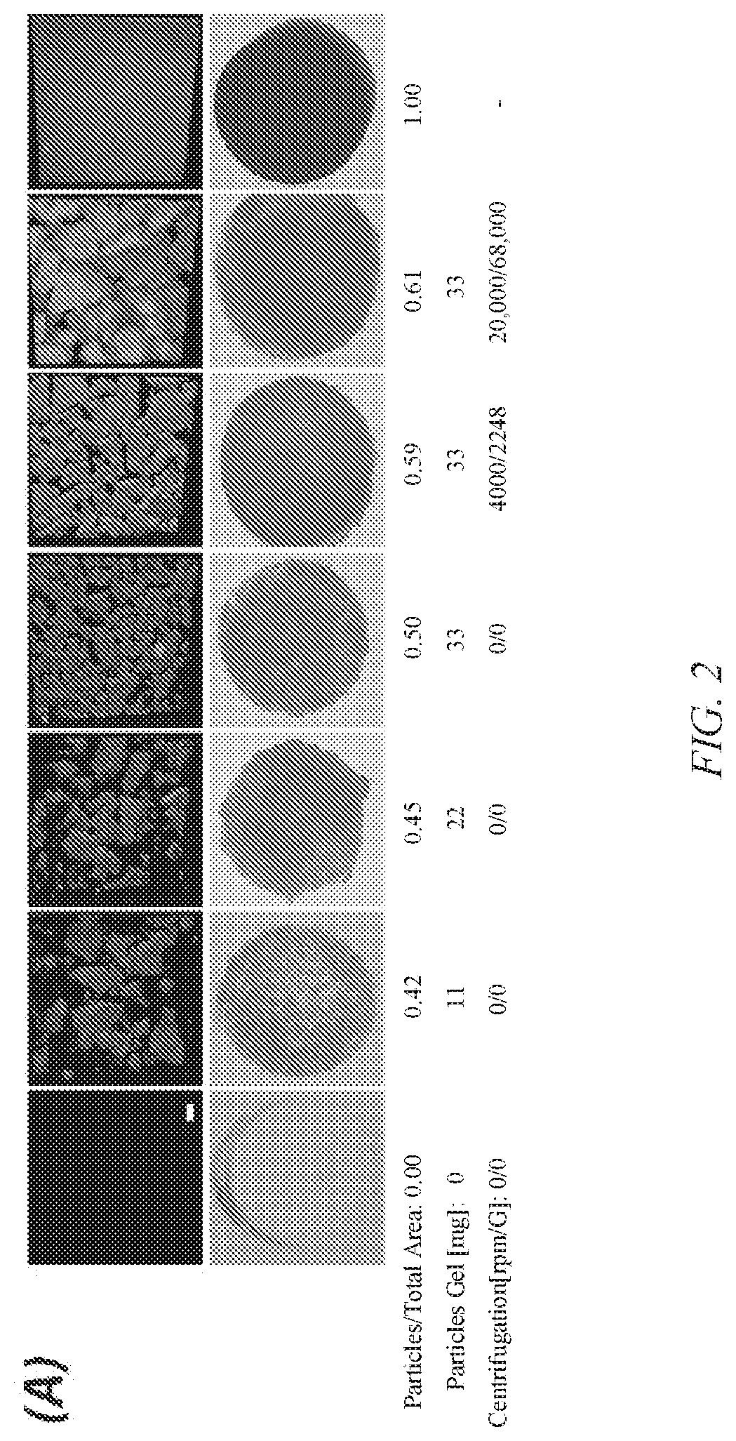 Methods and compositions for particulated and reconstituted tissues