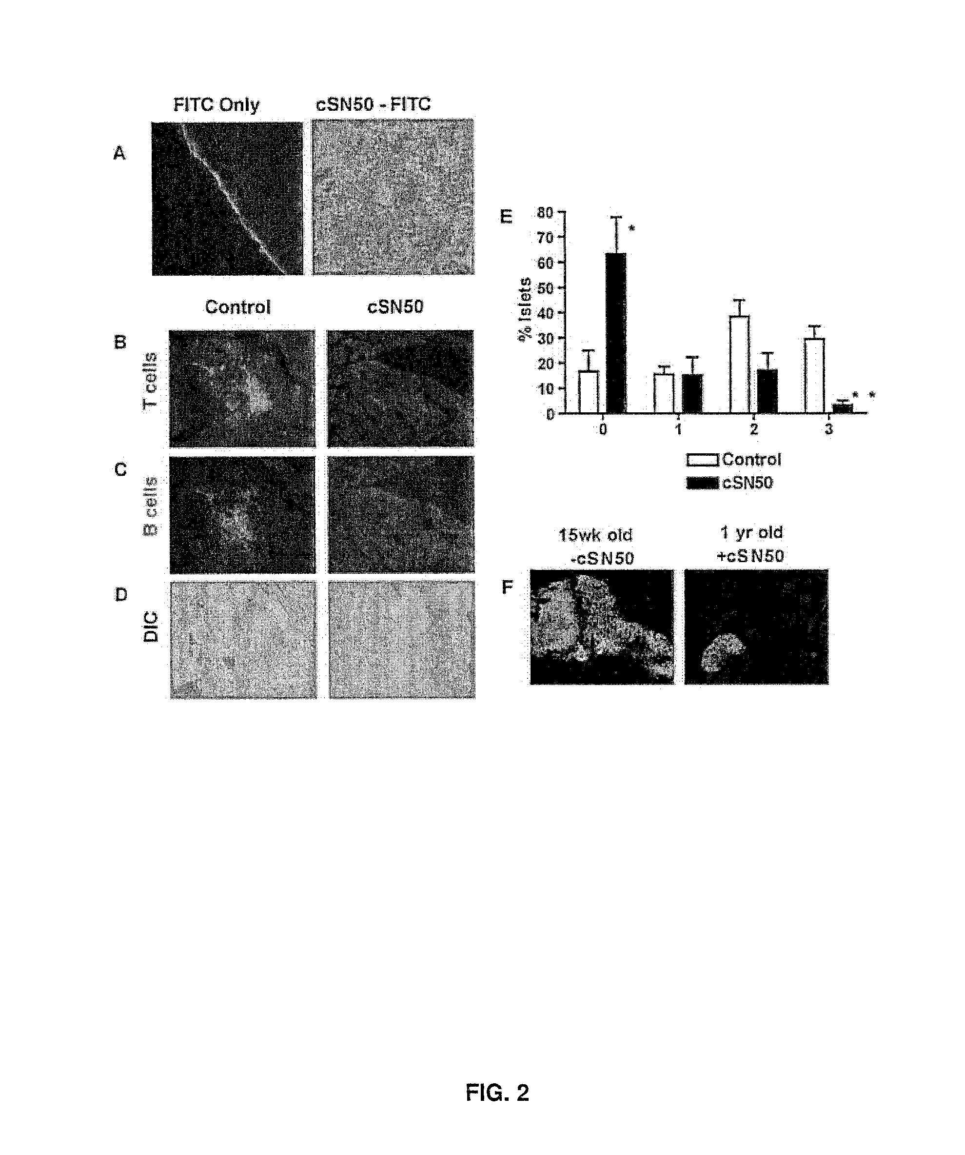 Compositions and methods for preserving insulin-producing cells and insulin production and treating diabetes