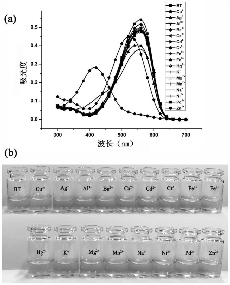 A kind of dual-channel copper ion detection test paper and preparation method thereof