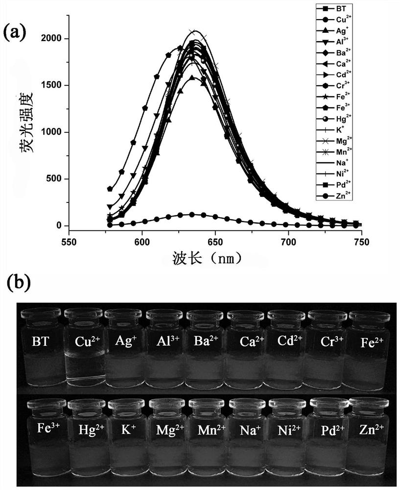 A kind of dual-channel copper ion detection test paper and preparation method thereof