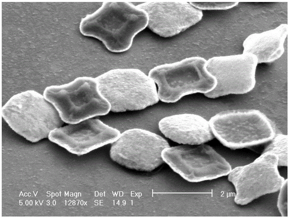 Stem cell mediated magnetic knife and preparation method and application of same