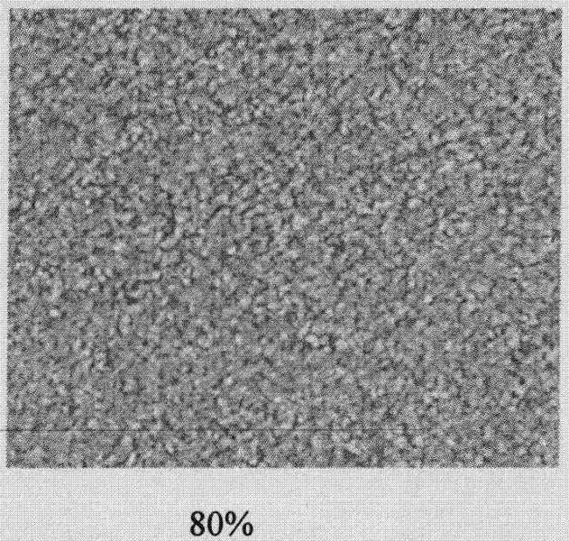 Reactive side chain type liquid crystal copolymer