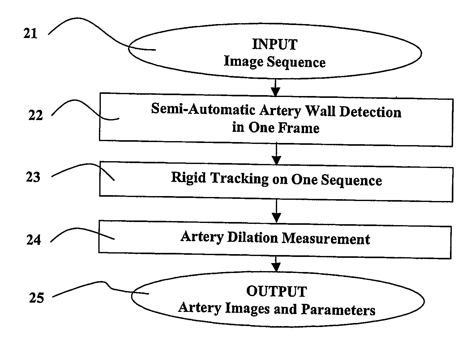 Ultrasonic apparatus for estimating artery parameters