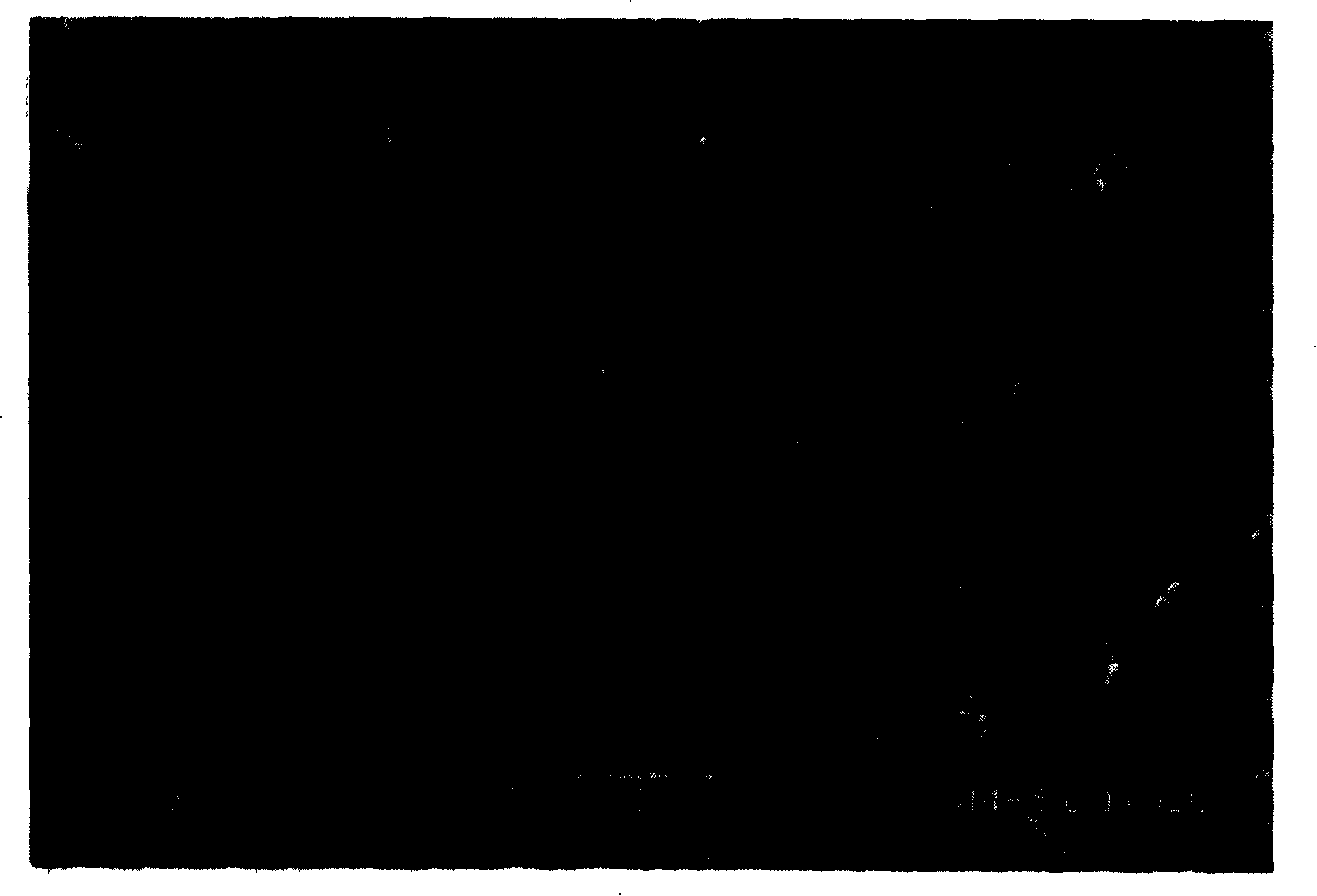 Preparation method for lithium ion secondary battery positive pole active substance lithium iron phosphate