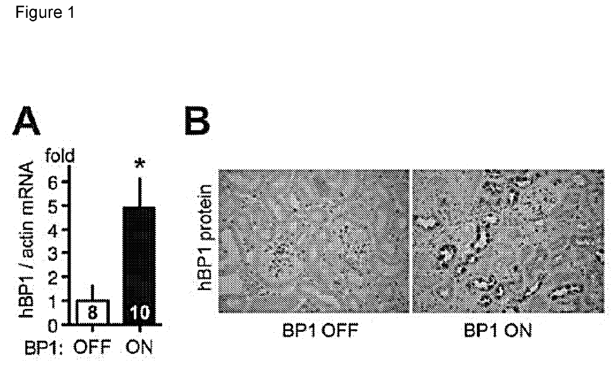 Treatments and methods for controlling hypertension