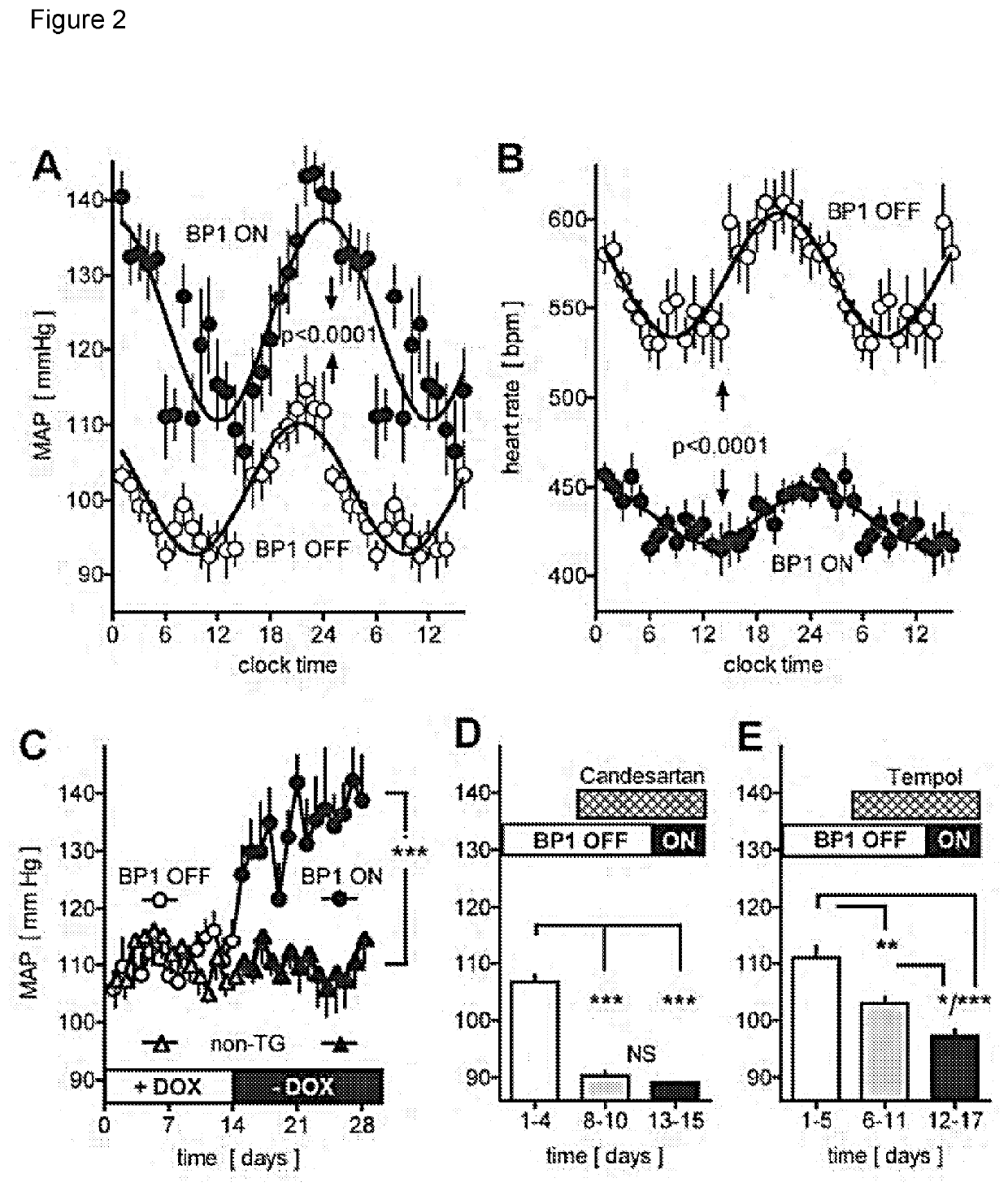 Treatments and methods for controlling hypertension