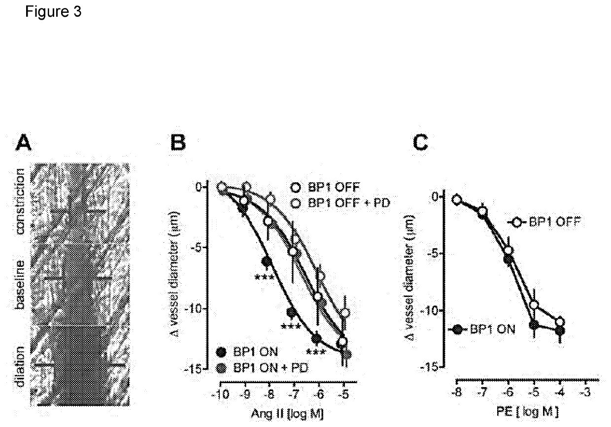 Treatments and methods for controlling hypertension