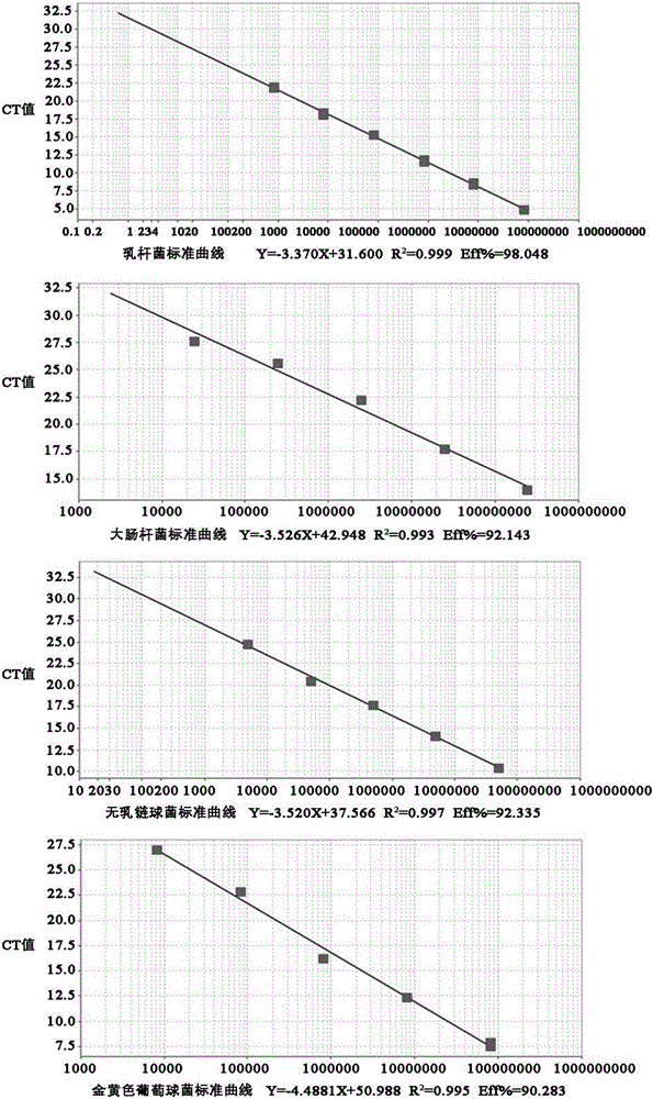 Composite lactobacillus nipple cleaning solution for improving dairy cow nipple micro-ecosystem