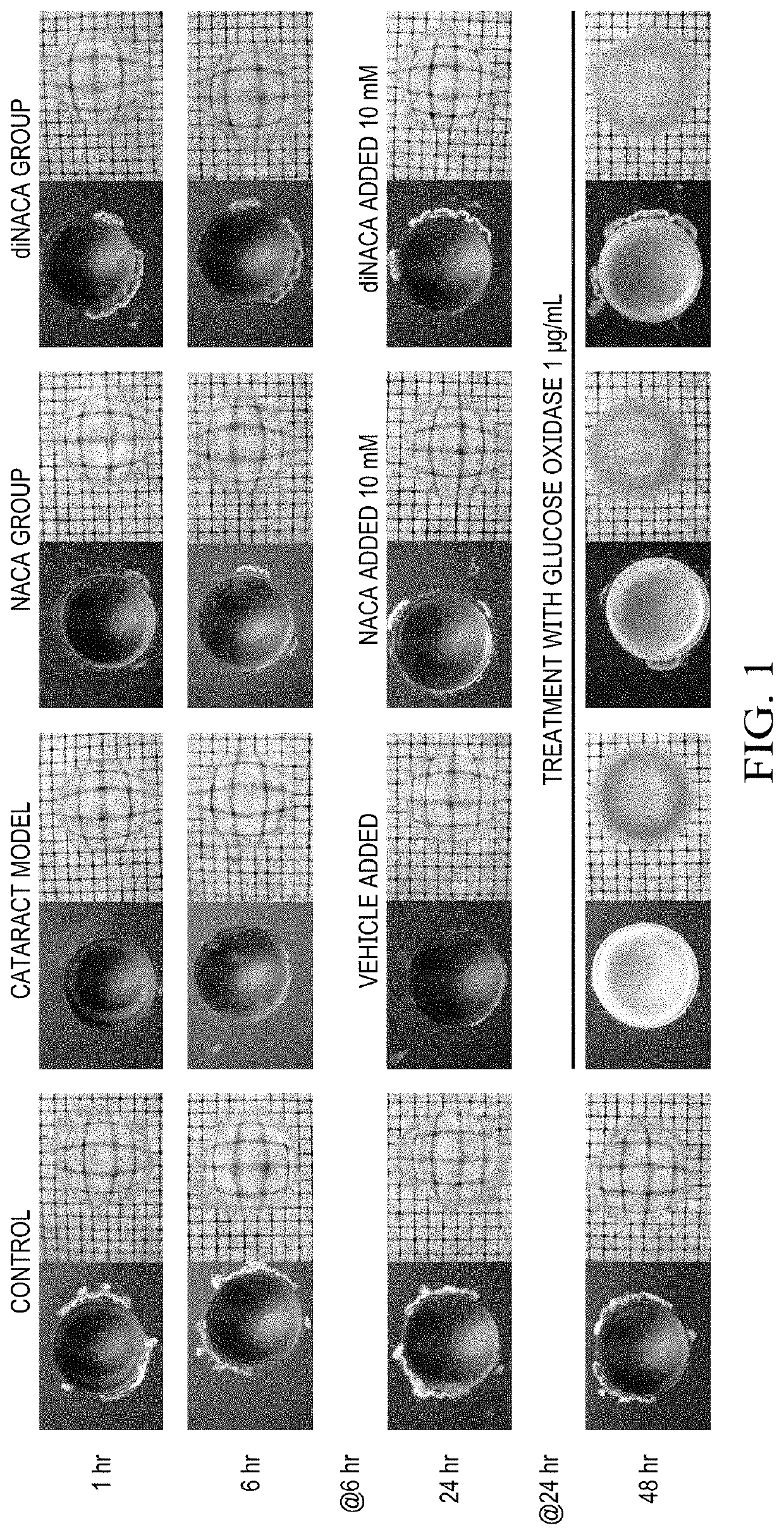 Prodrug for the treatment of disease and injury of oxidative stress