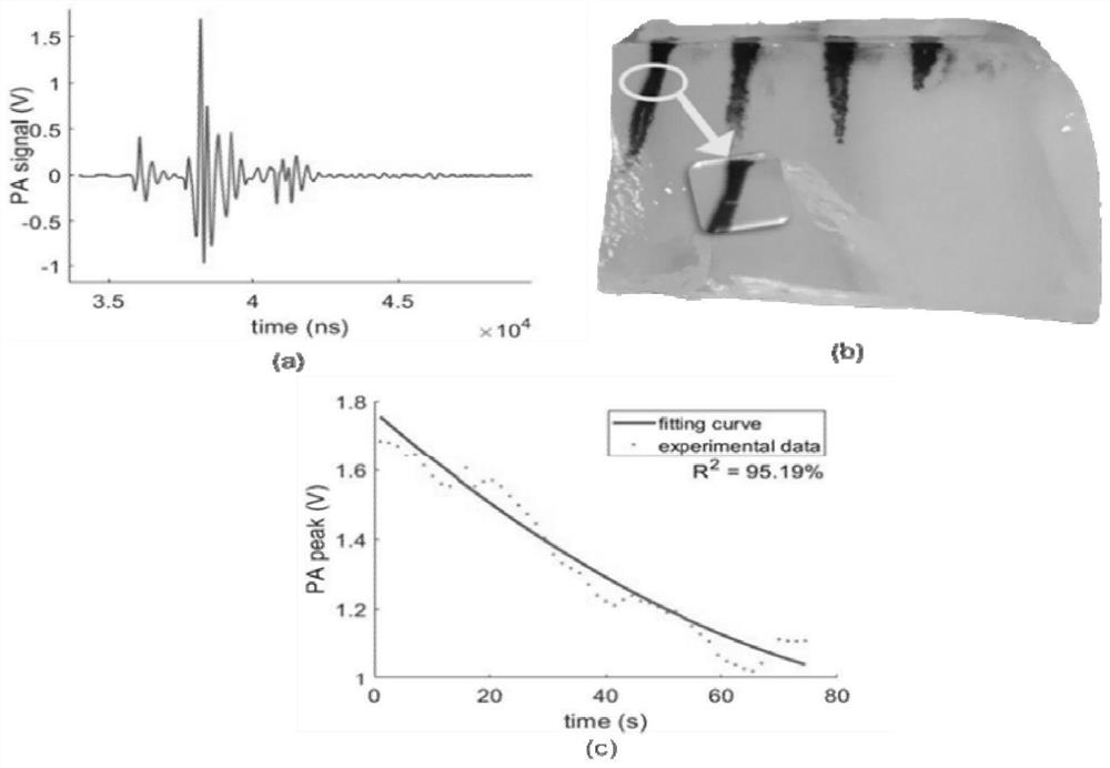 A photoacoustic detection device for guiding laser therapy