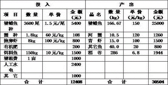 Method for breeding Odontobutis obscura through fish-rice symbiosis in pool