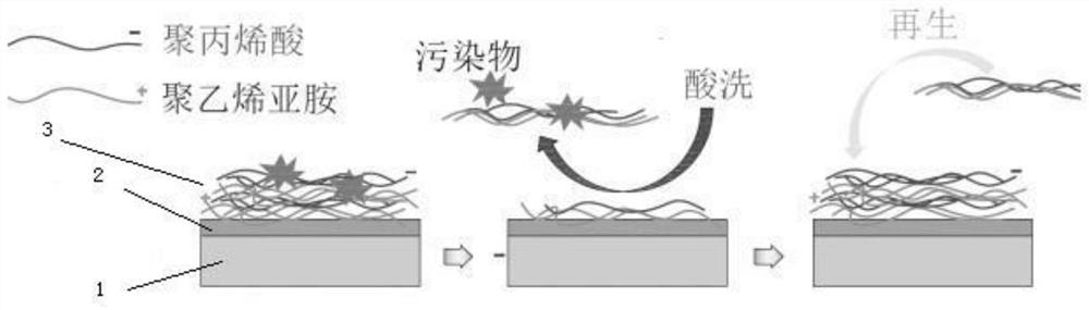 Preparation method and regeneration method of renewable polyelectrolyte membrane for forward osmosis technology