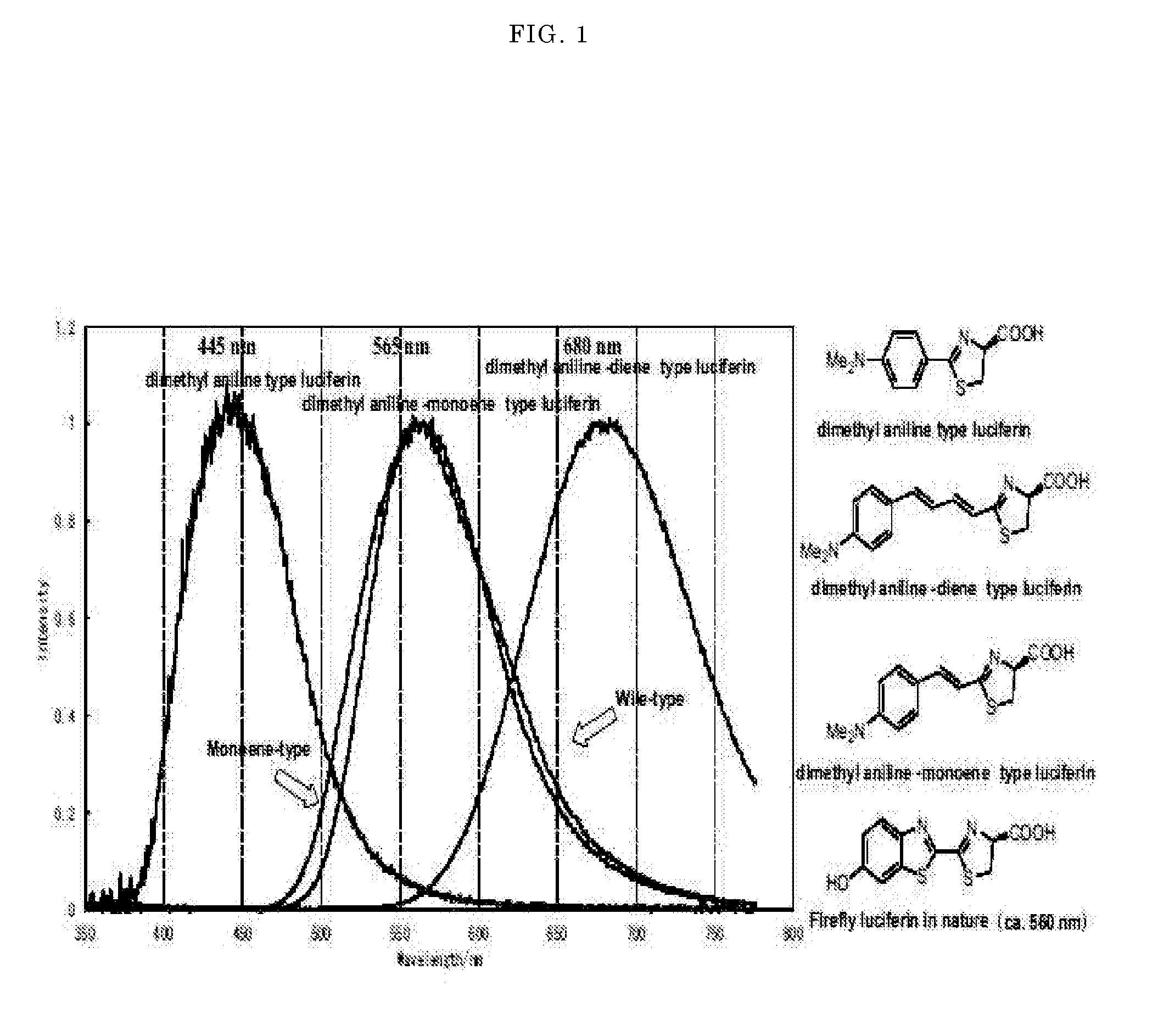 Luminescent substrate for liciferase