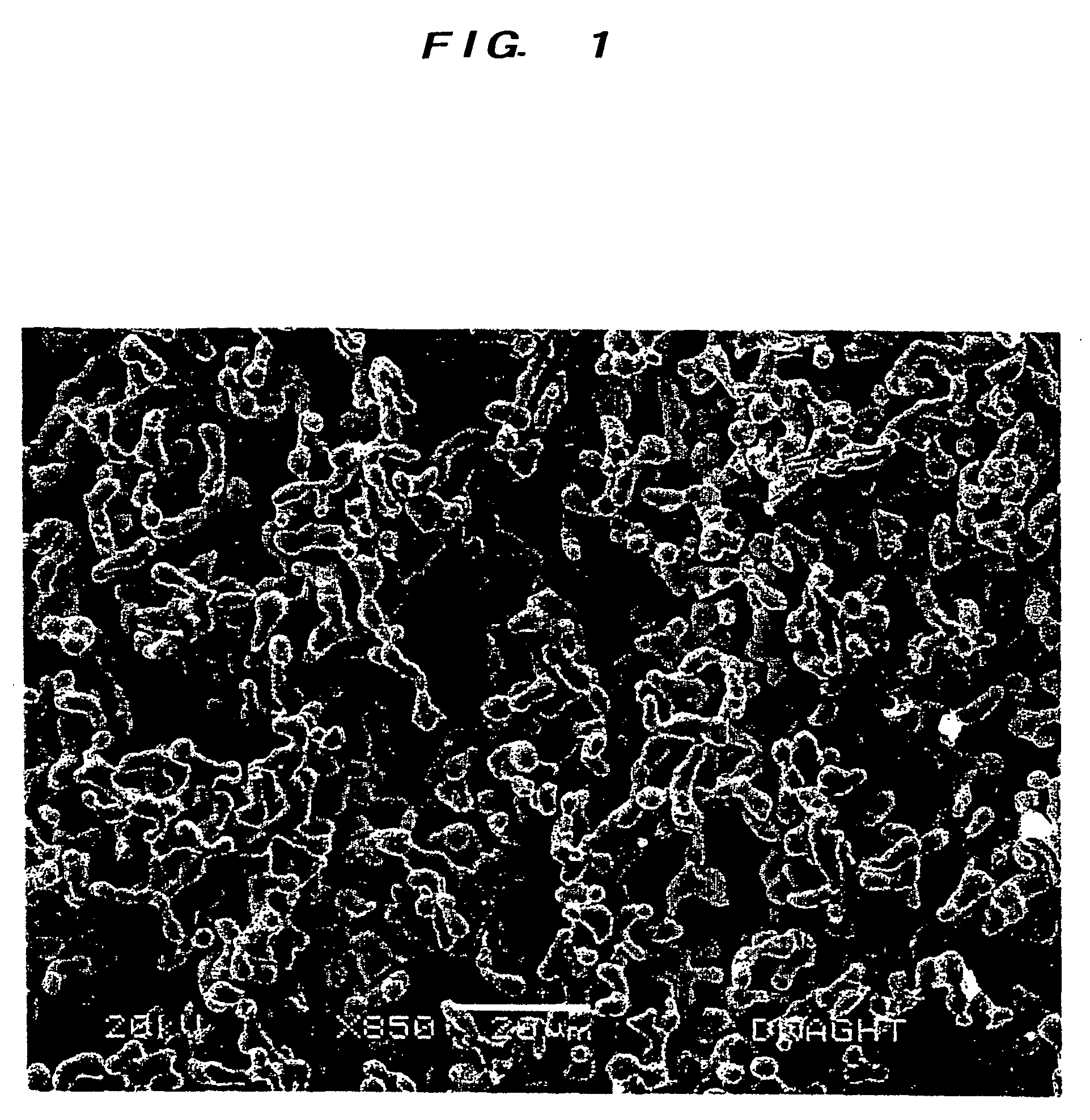 Metal or metal oxide porous material prepared by use of dextran or related soluble carbohydrate polymer